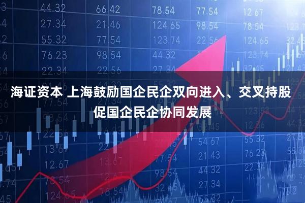 海证资本 上海鼓励国企民企双向进入、交叉持股 促国企民企协同发展
