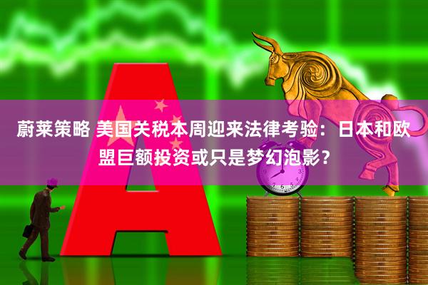 蔚莱策略 美国关税本周迎来法律考验：日本和欧盟巨额投资或只是梦幻泡影？