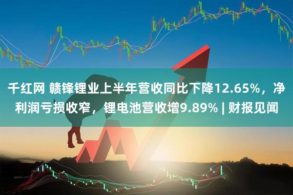 千红网 赣锋锂业上半年营收同比下降12.65%，净利润亏损收窄，锂电池营收增9.89% | 财报见闻