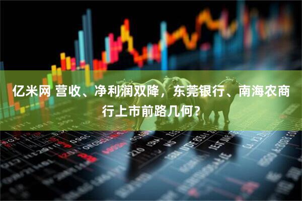 亿米网 营收、净利润双降，东莞银行、南海农商行上市前路几何？