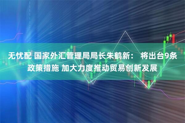 无忧配 国家外汇管理局局长朱鹤新： 将出台9条政策措施 加大力度推动贸易创新发展